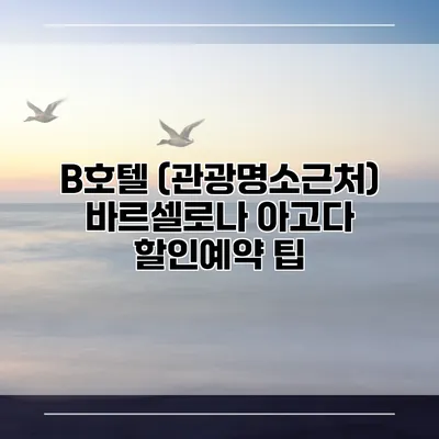 B호텔 (관광명소근처) 바르셀로나 아고다 할인예약 팁