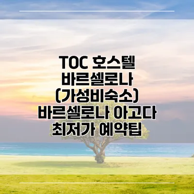 TOC 호스텔 바르셀로나 (가성비숙소) 바르셀로나 아고다 최저가 예약팁