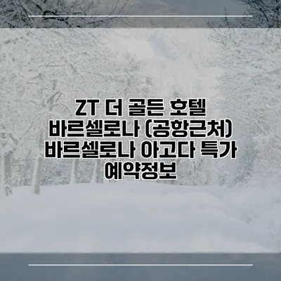 ZT 더 골든 호텔 바르셀로나 (공항근처) 바르셀로나 아고다 특가 예약정보