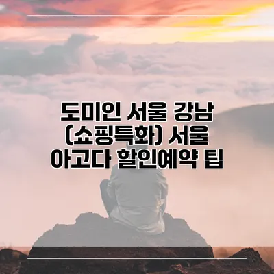 도미인 서울 강남 (쇼핑특화) 서울 아고다 할인예약 팁