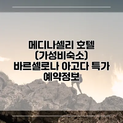 메디나셀리 호텔 (가성비숙소) 바르셀로나 아고다 특가 예약정보
