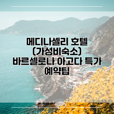 메디나셀리 호텔 (가성비숙소) 바르셀로나 아고다 특가 예약팁