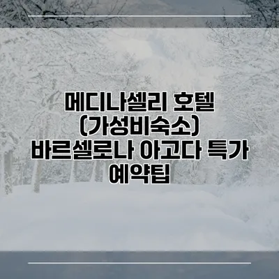 메디나셀리 호텔 (가성비숙소) 바르셀로나 아고다 특가 예약팁