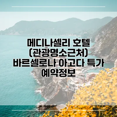 메디나셀리 호텔 (관광명소근처) 바르셀로나 아고다 특가 예약정보
