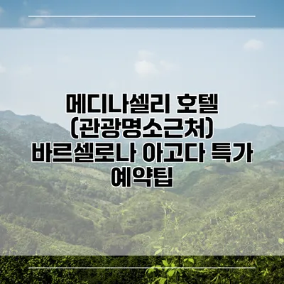 메디나셀리 호텔 (관광명소근처) 바르셀로나 아고다 특가 예약팁