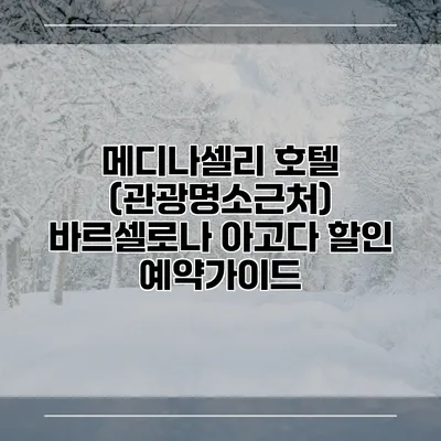 메디나셀리 호텔 (관광명소근처) 바르셀로나 아고다 할인 예약가이드
