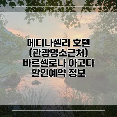 메디나셀리 호텔 (관광명소근처) 바르셀로나 아고다 할인예약 정보