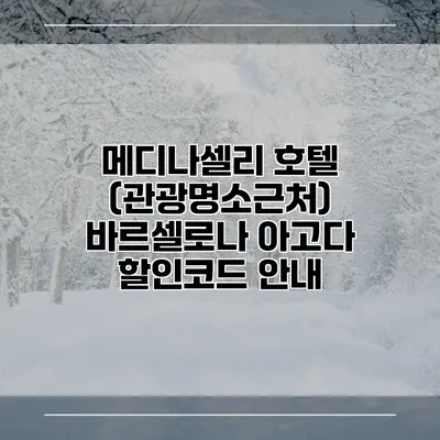 메디나셀리 호텔 (관광명소근처) 바르셀로나 아고다 할인코드 안내