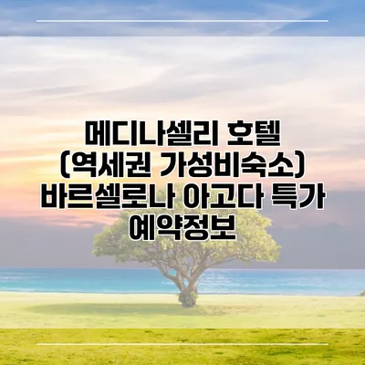 메디나셀리 호텔 (역세권 가성비숙소) 바르셀로나 아고다 특가 예약정보