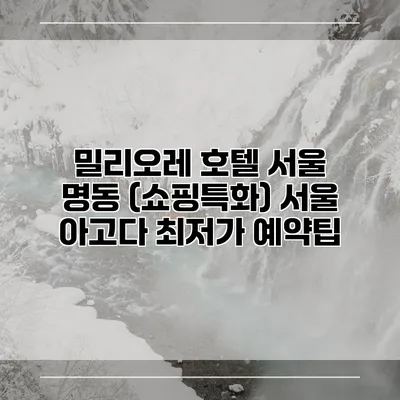 밀리오레 호텔 서울 명동 (쇼핑특화) 서울 아고다 최저가 예약팁