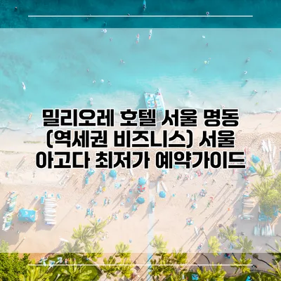 밀리오레 호텔 서울 명동 (역세권 비즈니스) 서울 아고다 최저가 예약가이드