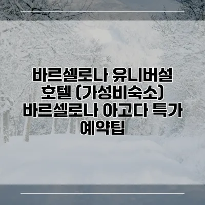 바르셀로나 유니버설 호텔 (가성비숙소) 바르셀로나 아고다 특가 예약팁