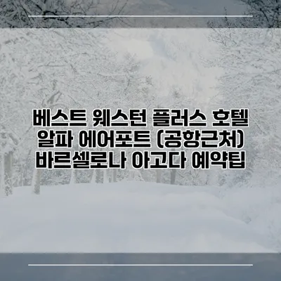 베스트 웨스턴 플러스 호텔 알파 에어포트 (공항근처) 바르셀로나 아고다 예약팁