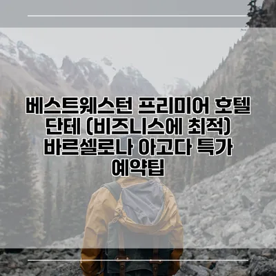 베스트웨스턴 프리미어 호텔 단테 (비즈니스에 최적) 바르셀로나 아고다 특가 예약팁