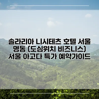 솔라리아 니시테츠 호텔 서울 명동 (도심위치 비즈니스) 서울 아고다 특가 예약가이드