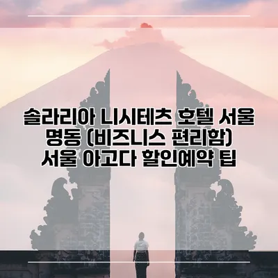 솔라리아 니시테츠 호텔 서울 명동 (비즈니스 편리함) 서울 아고다 할인예약 팁