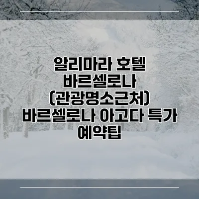 알리마라 호텔 바르셀로나 (관광명소근처) 바르셀로나 아고다 특가 예약팁
