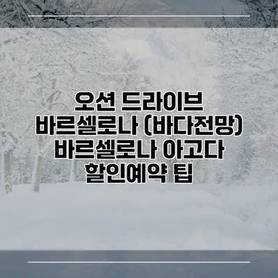 오션 드라이브 바르셀로나 (바다전망) 바르셀로나 아고다 할인예약 팁