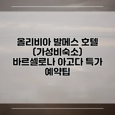 올리비아 발메스 호텔 (가성비숙소) 바르셀로나 아고다 특가 예약팁