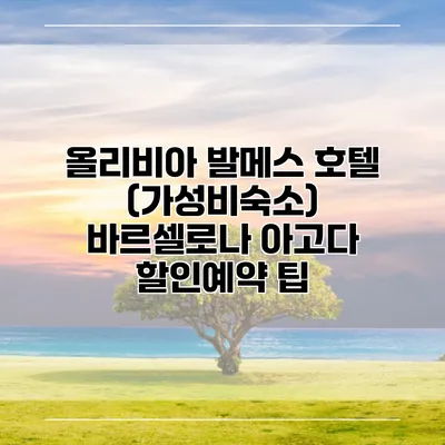 올리비아 발메스 호텔 (가성비숙소) 바르셀로나 아고다 할인예약 팁