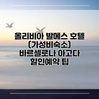 올리비아 발메스 호텔 (가성비숙소) 바르셀로나 아고다 할인예약 팁