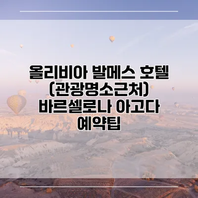 올리비아 발메스 호텔 (관광명소근처) 바르셀로나 아고다 예약팁