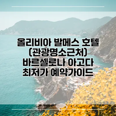 올리비아 발메스 호텔 (관광명소근처) 바르셀로나 아고다 최저가 예약가이드