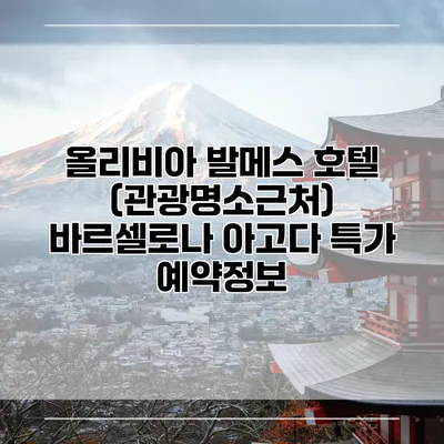 올리비아 발메스 호텔 (관광명소근처) 바르셀로나 아고다 특가 예약정보