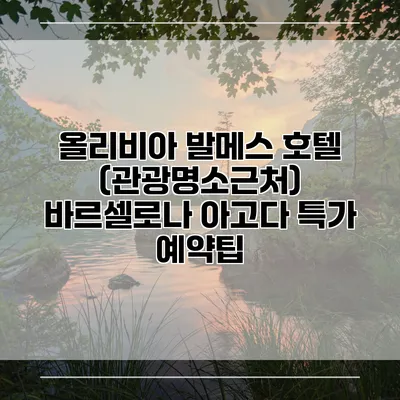 올리비아 발메스 호텔 (관광명소근처) 바르셀로나 아고다 특가 예약팁