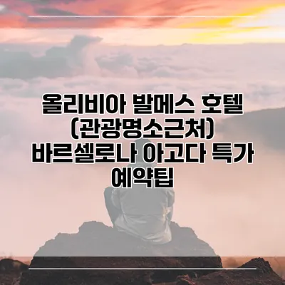 올리비아 발메스 호텔 (관광명소근처) 바르셀로나 아고다 특가 예약팁