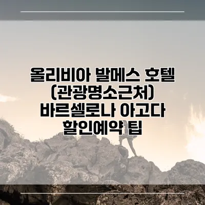 올리비아 발메스 호텔 (관광명소근처) 바르셀로나 아고다 할인예약 팁