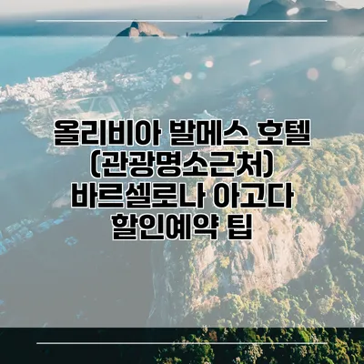 올리비아 발메스 호텔 (관광명소근처) 바르셀로나 아고다 할인예약 팁
