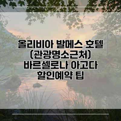 올리비아 발메스 호텔 (관광명소근처) 바르셀로나 아고다 할인예약 팁