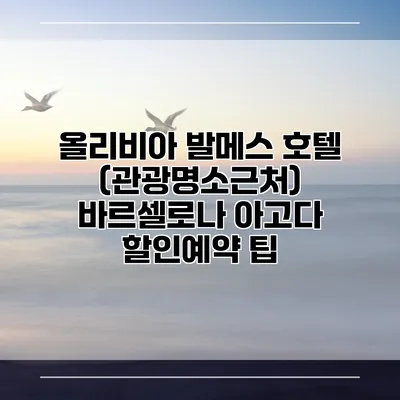 올리비아 발메스 호텔 (관광명소근처) 바르셀로나 아고다 할인예약 팁