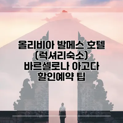 올리비아 발메스 호텔 (럭셔리숙소) 바르셀로나 아고다 할인예약 팁