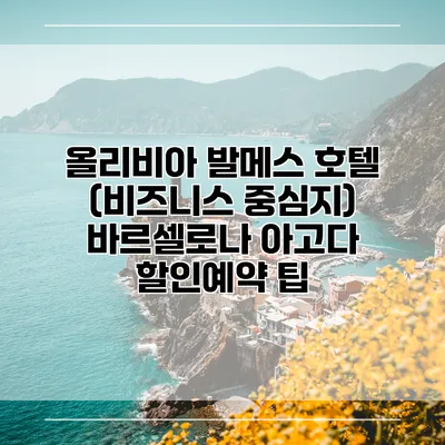 올리비아 발메스 호텔 (비즈니스 중심지) 바르셀로나 아고다 할인예약 팁
