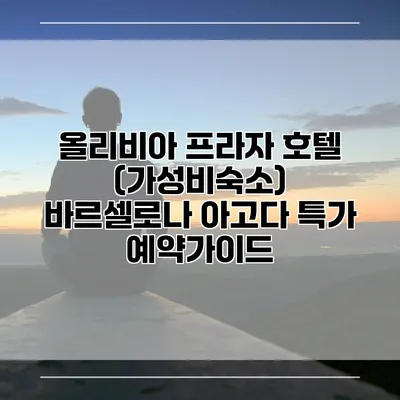 올리비아 프라자 호텔 (가성비숙소) 바르셀로나 아고다 특가 예약가이드