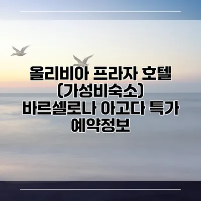 올리비아 프라자 호텔 (가성비숙소) 바르셀로나 아고다 특가 예약정보