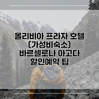 올리비아 프라자 호텔 (가성비숙소) 바르셀로나 아고다 할인예약 팁