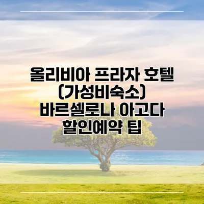 올리비아 프라자 호텔 (가성비숙소) 바르셀로나 아고다 할인예약 팁