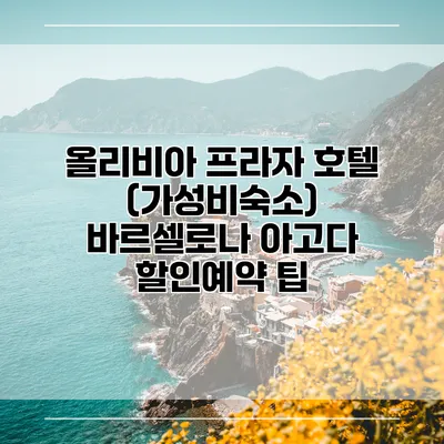 올리비아 프라자 호텔 (가성비숙소) 바르셀로나 아고다 할인예약 팁