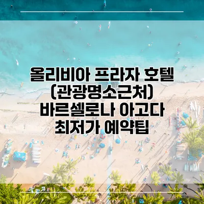 올리비아 프라자 호텔 (관광명소근처) 바르셀로나 아고다 최저가 예약팁