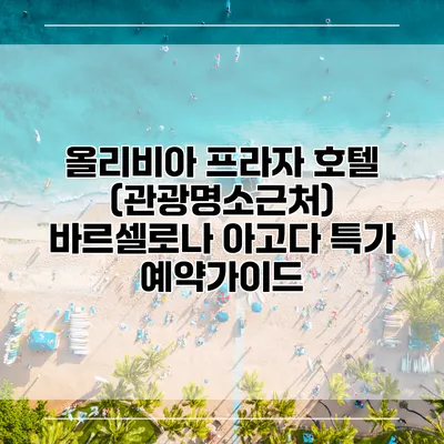 올리비아 프라자 호텔 (관광명소근처) 바르셀로나 아고다 특가 예약가이드