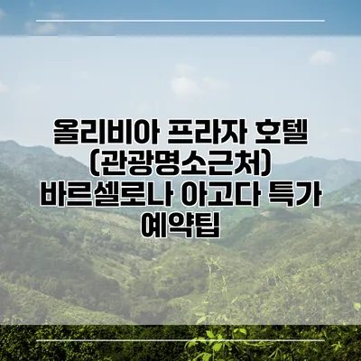 올리비아 프라자 호텔 (관광명소근처) 바르셀로나 아고다 특가 예약팁
