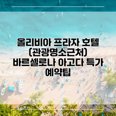 올리비아 프라자 호텔 (관광명소근처) 바르셀로나 아고다 특가 예약팁