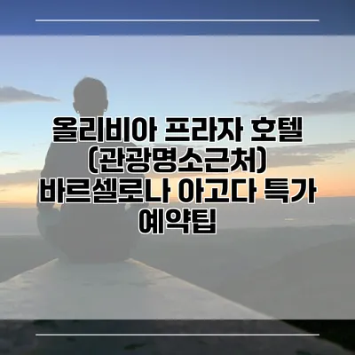 올리비아 프라자 호텔 (관광명소근처) 바르셀로나 아고다 특가 예약팁