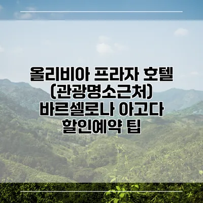 올리비아 프라자 호텔 (관광명소근처) 바르셀로나 아고다 할인예약 팁