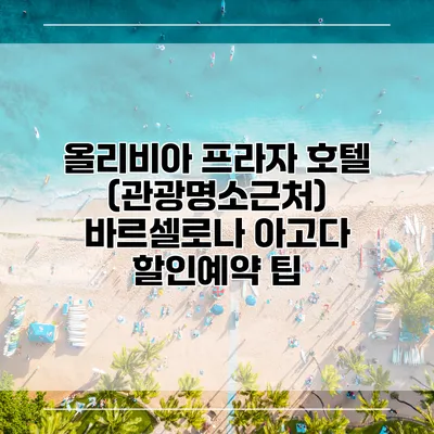 올리비아 프라자 호텔 (관광명소근처) 바르셀로나 아고다 할인예약 팁