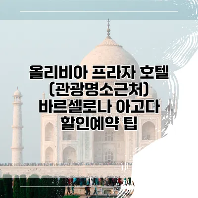 올리비아 프라자 호텔 (관광명소근처) 바르셀로나 아고다 할인예약 팁
