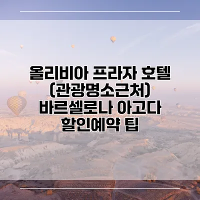 올리비아 프라자 호텔 (관광명소근처) 바르셀로나 아고다 할인예약 팁